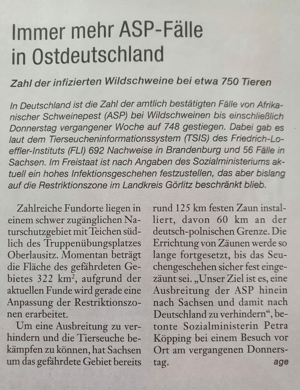 zeitungsartikel-asp-afrikanische-schweinepest