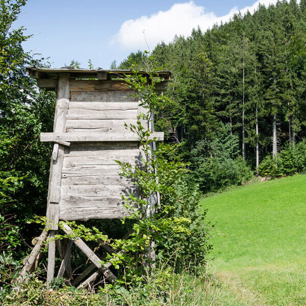 jagd-hochsitz-desinfektion