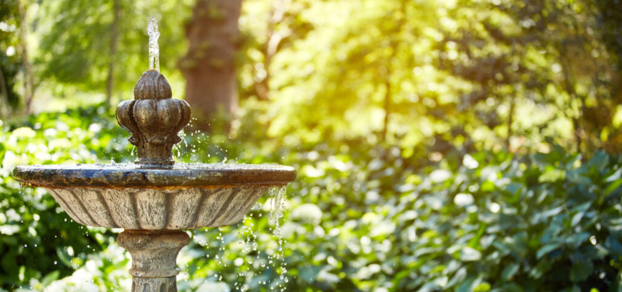 zierbrunnen-reinigen